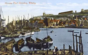 Whitby, North Yorkshire - The Herring Fleet Unlading