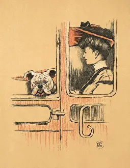 Bulldogs Prints: White bulldog puppy in first class railway carriage