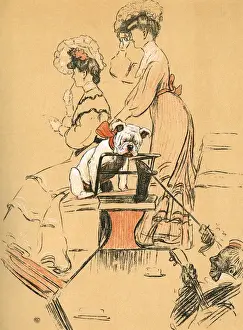 Minstrel Prints: White bulldog puppy taken to Ascot