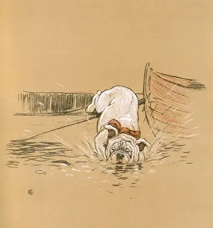White bulldog puppy taken to Henley Regatta
