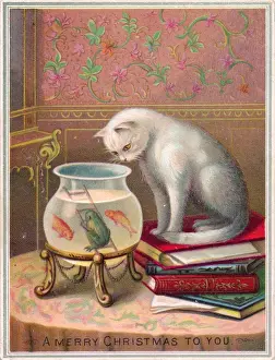 Wallpaper Prints: White cat on a Christmas card