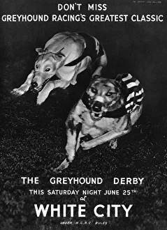 Adverts Gallery: White City greyhound racing advertisement, 1938
