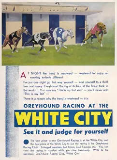 Traps Prints: White City Greyhound Racing Advertisement