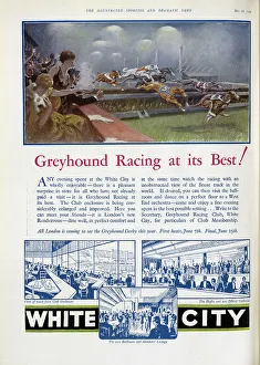 Excitement Prints: White City Greyhounds