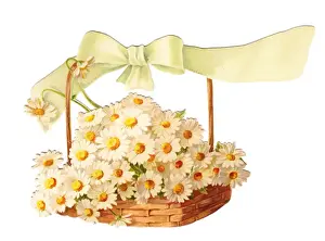 White daisies in a basket on a cutout greetings card