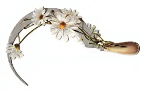 Entwined Prints: White daisies and sickle on a cutout greetings card