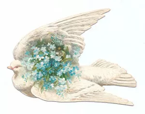 Images Dated 3rd December 2015: White dove with flowers on a bird-shaped greetings card