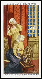 Dove Prints: White Dove, Oxenham