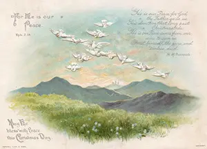 Doves Prints: White doves in flight on a Christmas card