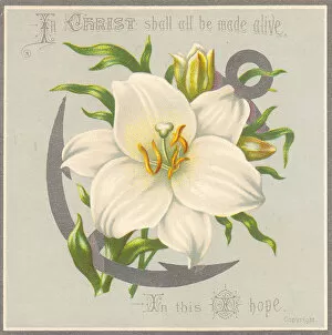 Anchors Gallery: White flower and anchor on an Easter card