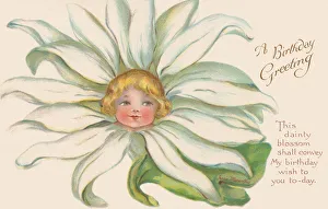 Irene Collection: White Flower Faces