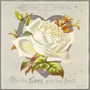 Risen Prints: White flower and heart on an Easter card