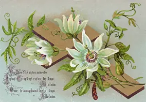 White flowers and a cross on an Easter card