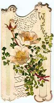 Creamy Prints: White flowers on a cutout greetings card