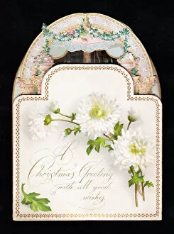 Images Dated 21st May 2018: White flowers on an ornate cutout Christmas card