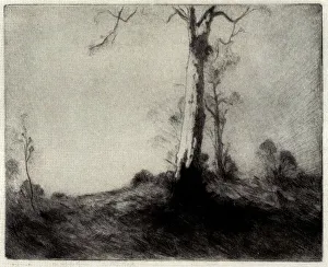 Drypoint Prints: The White Gum
