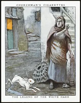 Fisher Prints: White Hare of Cornwall