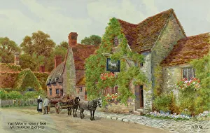 Hart Prints: White Hart Inn, Wytham, near Oxford, Oxfordshire