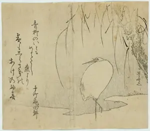 White heron beneath a willow tree