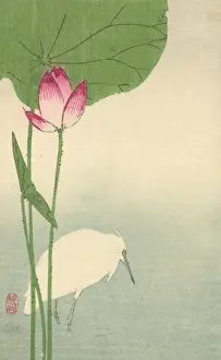 Lotus Prints: White heron and lotus