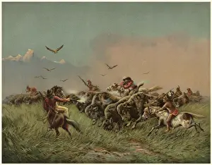 White hunters and native Americans exterminate the buffalo herds Date: 19th century