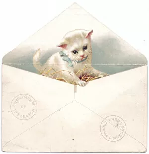 Paws Gallery: White kitten in an envelope on a Christmas card