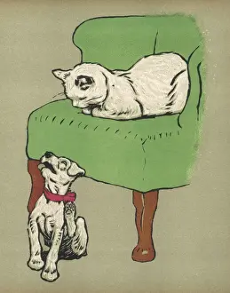 Relaxes Prints: White Puppy and Cat 1909