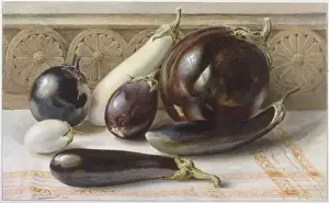 White & Purple Aubergine