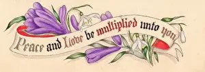 Snowdrop Prints: White and purple flowers on a hand-coloured card