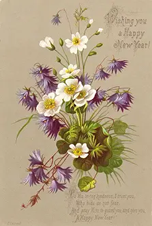 White and purple flowers on a New Year card