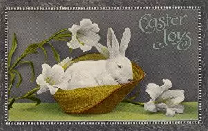 Easter Collection: White Rabbit Easter 1912