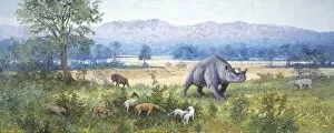 Cenozoic Collection: White River scene, late Eocene