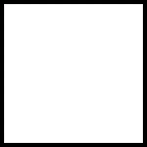White Square with a black line around the edge Date: 2021
