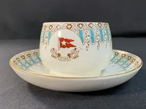 White Star Line - Wisteria pattern coffee cup and saucer