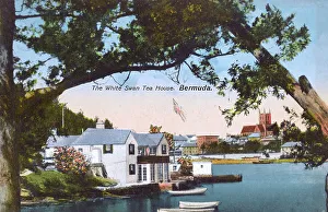 Swan Collection: The White Swan Tea House, Hamilton, Bermuda
