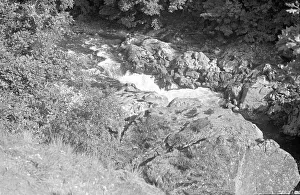 White-water rapids on a mountain beck