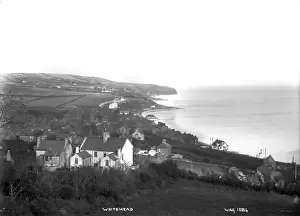 Whitehead