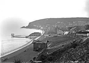 Whitehead