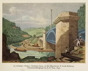Charleston Gallery: Whiteleys Viaduct, Charleston Curves