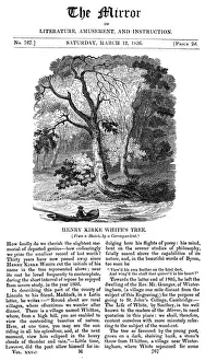 Kirke Prints: Whites Tree