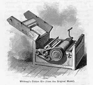 Whitneys Gin