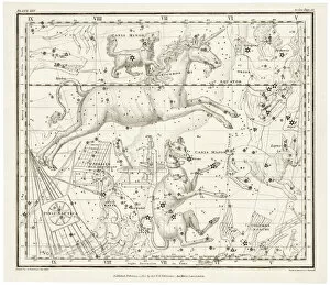 1822 Collection: Whittaker / Canis Major