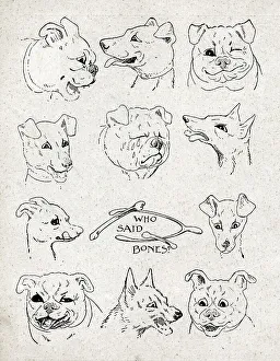 Doings Prints: Who said Bones, Louis Wain dogs