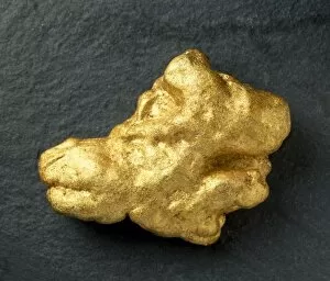 Alluvial Gallery: The Wicklow gold nugget