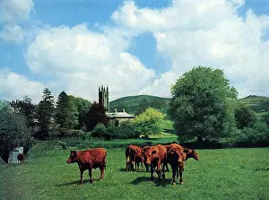 Widecombe-in-the-Moor, Devon