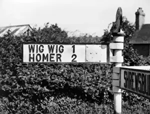 Sign Posts Prints: WIG WIG