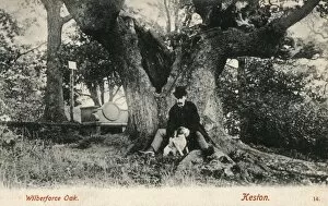 Abolition Collection: The Wilberforce Oak at Keston