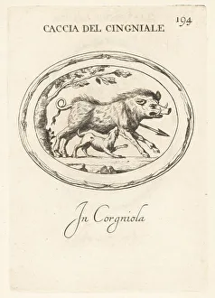 Boar Prints: Wild boar hunting in ancient Rome