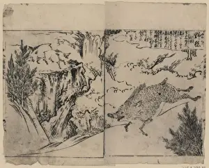 Boars Prints: Wild boars running, on cliffs, and near pine trees