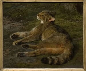 Images Dated 11th July 2015: Wild Cat, 1850, by Rosa Bonheur
